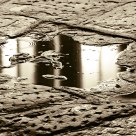 Gold Water